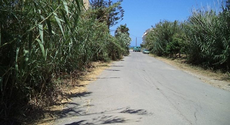 DSC00056