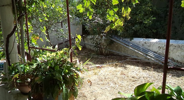DSC00120