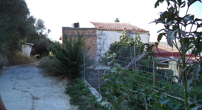DSC00126