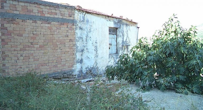 DSC00131