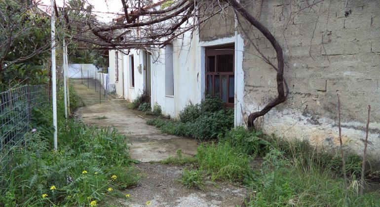 DSC00403