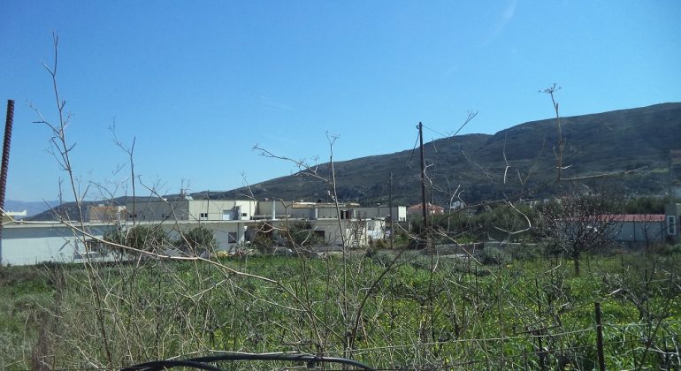 DSC00422