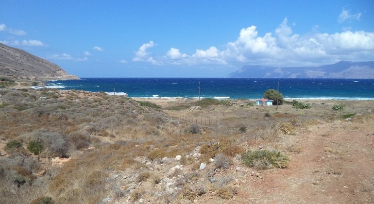 DSC00987