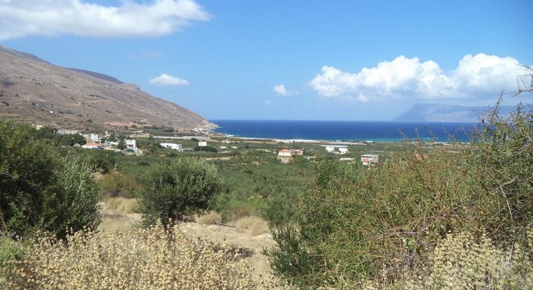 DSC00991