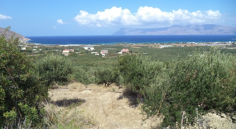DSC00992