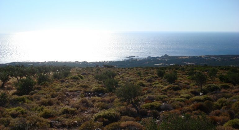 DSC02594