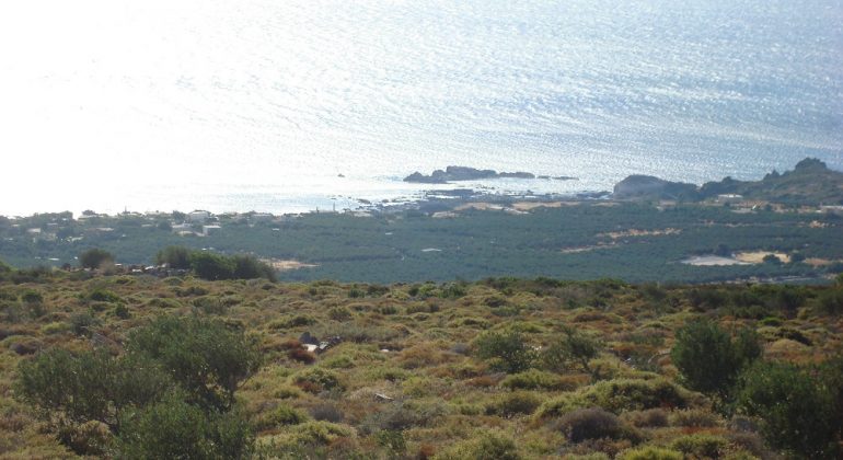 DSC02598