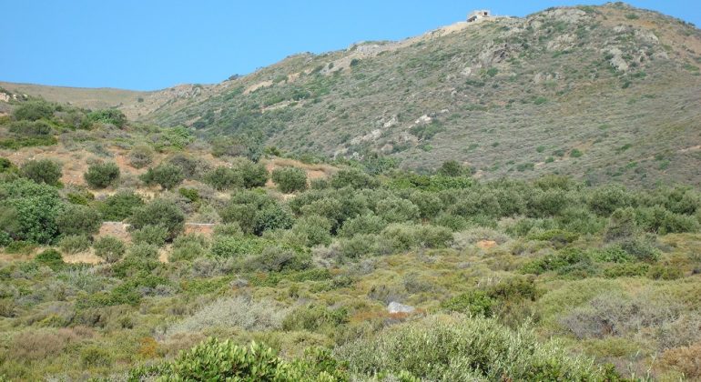 DSC02602