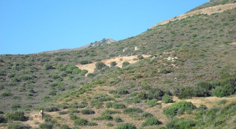 DSC02603