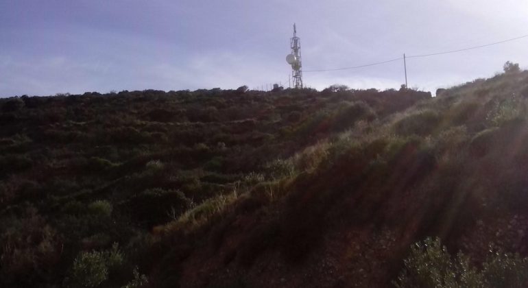 κατάλογος (2)