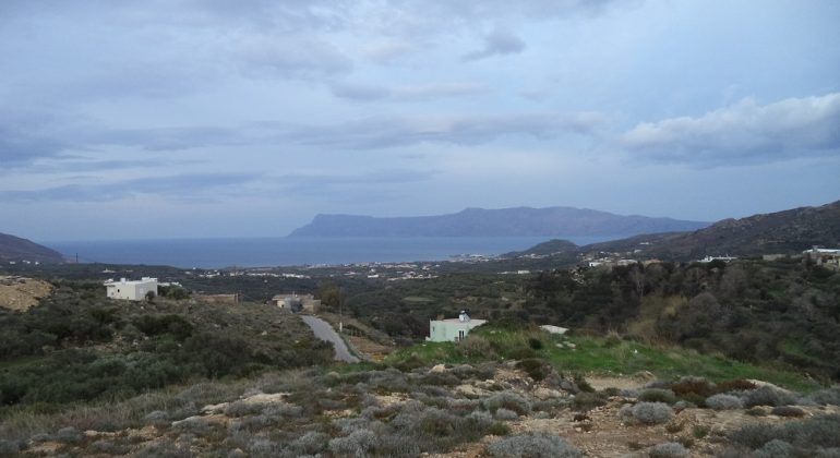 DSC00357