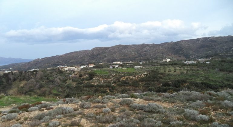 DSC00358