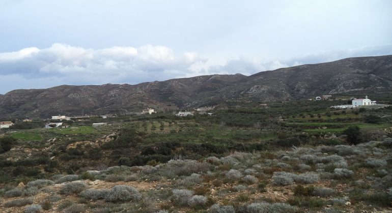 DSC00359
