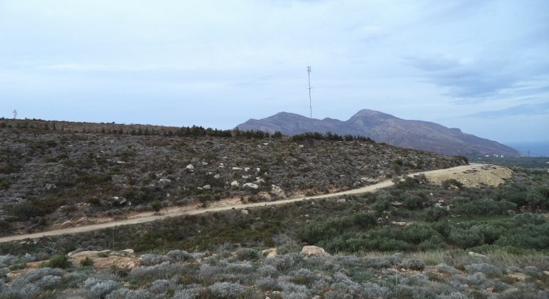 DSC00360