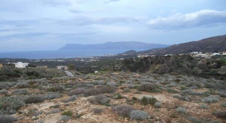 DSC00361