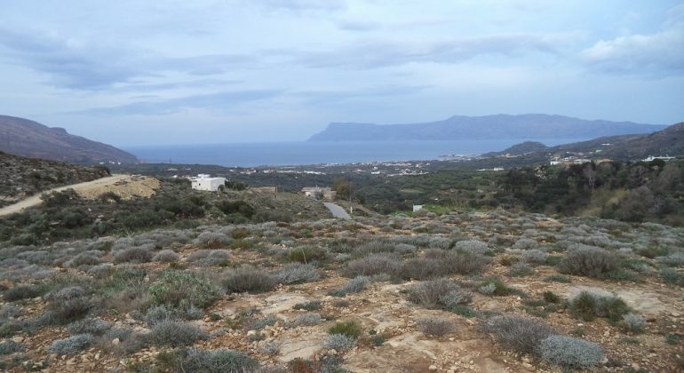 DSC00363