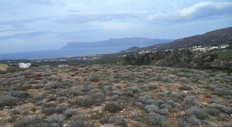 DSC00364