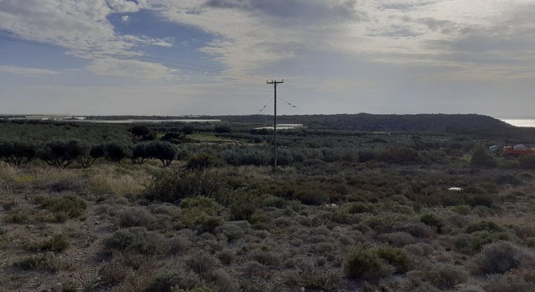 20210301_162221